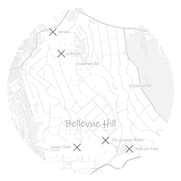 Bellevue Hill